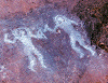 B067S