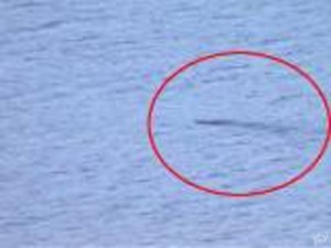 Nessie