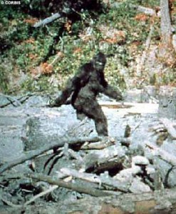 bigfoot-filmato-patterson-mkdavis