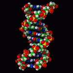 dna