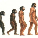 LA CLASSICA RAPPRESENTAZIONE DELL'EVOLUZIONE UMANA