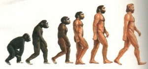LA CLASSICA RAPPRESENTAZIONE DELL'EVOLUZIONE UMANA