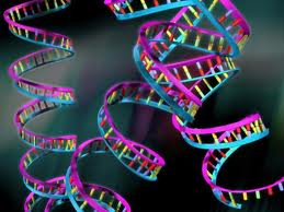 dna