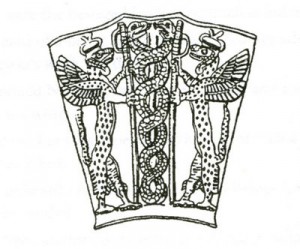 anunnaki dna