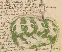 voynich