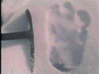 yeti orma