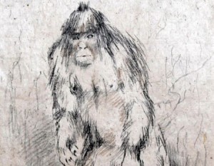 yeti schizzo