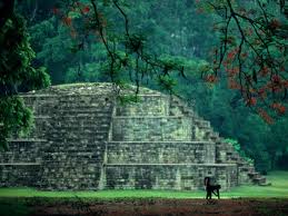 La Piramide maya e la foresta