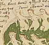 L' ILLUSTRAZIONE DEL CODICE CON LE DONNE CHE FANNO IL BAGNO NUDE