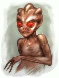 VARGINHA IDENTIKIT