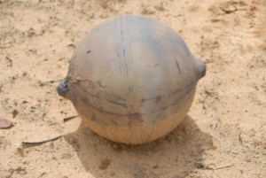 palla-namibia