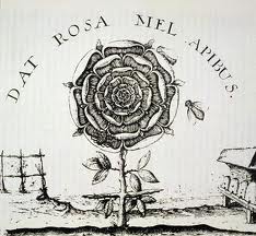 Il simbolo della Rosa Croce, Joachim Frizius, Summum bonum quod est verum magiae, cabalae, alchymiae verae fratrum Rosae Crucis verorum, Francoforte, 1629