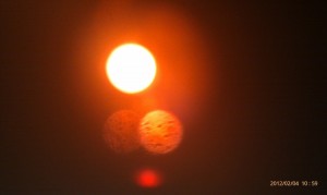 sole di alberto italy