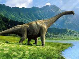 dino bronto