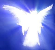 pitt angeli