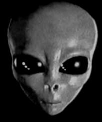abduction grey