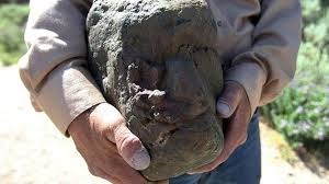TESTA DETTAGLIO