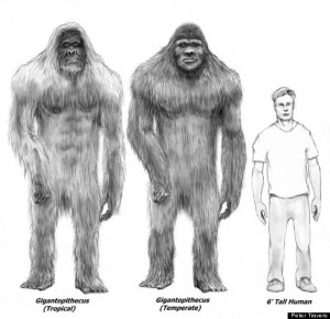 bigfoot