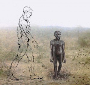 Homo-floresiensis confronto
