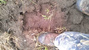 BIGFOOT ORMA