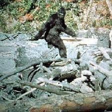 BIGFOOT PATTERSON