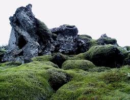 islanda rocce