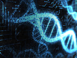 terra dna