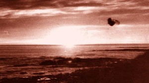 LA FOTO SCATTATA A CAPE OTWAY