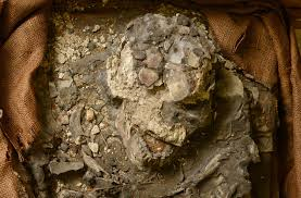 IL TESCHIO DI "NOE", ANTICO DI 6500 ANNI