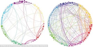 A DESTRA, LA MAPPA DELL'ATTIVITÀ CEREBRALE SOTTO L'EFFETTO DELLA PSILOCIBINA