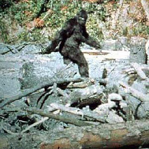 L'IMMAGINE PIÙ FAMOSA DI UN BIGFOOT