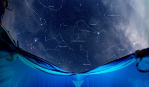 LA PORZIONE DI VOLTA CELESTE CON LA COSTELLAZIONE DELLA LIRA