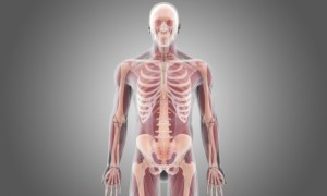 TRAPIANTARE UN INTERO CORPO, UTOPIA O REALTA'?