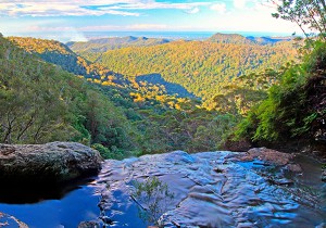 UNA VEDUTA DEL PARCO NATURALE DI SPRINGBROOK