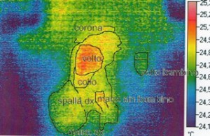 L'IMMAGINE TERMOGRAFICA DEL DIPINTO