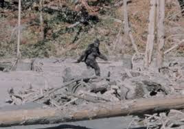 LA CREATURA RIPREAA NEL VIDEO PATTERSON-GIMLIN