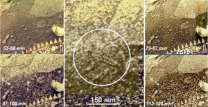 UN COLLAGE DI SCATTI RIPRESI SULLA SUPERFICIE DI VENERE