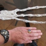 UNA MANO A TRE DITA RITENUTA "NON UMANA"