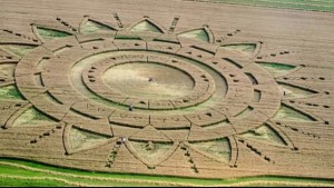 UN CROP CIRCLE APPARSO NELLE CAMPAGNE INGLESI