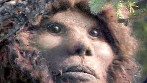 L'ALTRO, PRESUNTO SASQUATCH