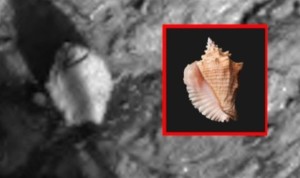 UN DETTAGLIO DELLA FOTO SCATTATA DAL ROVER CURIOSITY