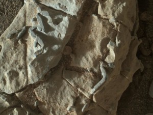 TRACCE FOSSILI O SEMPLICI CRISTALLI?