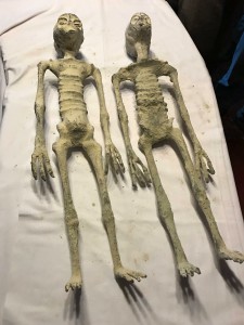 DUE DELLE COSIDDETTE "MUMMIE TRIDATTILE DI NAZCA"