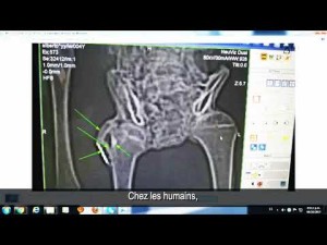 ALCUNE MUMMIE CONTENGONO OGGETTI METALLICI