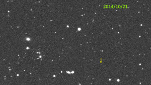 ECCO COME APPARE IN CIELO IL PIANETA NANO DA POCO SCOPERTO