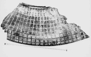 IL FRAMMENTO METALLICO SCOPERTO 50 ANNI FA