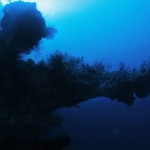 UNA DELLE 15 PROTUBERANZE DELLA STRUTTURA SOTTOMARINA
