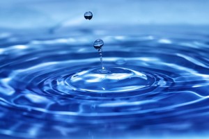 DOVE C'È ACQUA, C'È VITA?