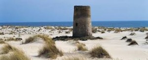 IL PARCO NATURALE DI DONANA