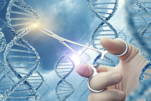 IL DNA È STATO MODIFICATO CON L'ELIMINAZIONE DI UN GENE SPECIFICO
